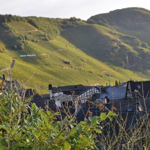 Hotel Weingut Erbes-Henn Ürzig Exterior foto